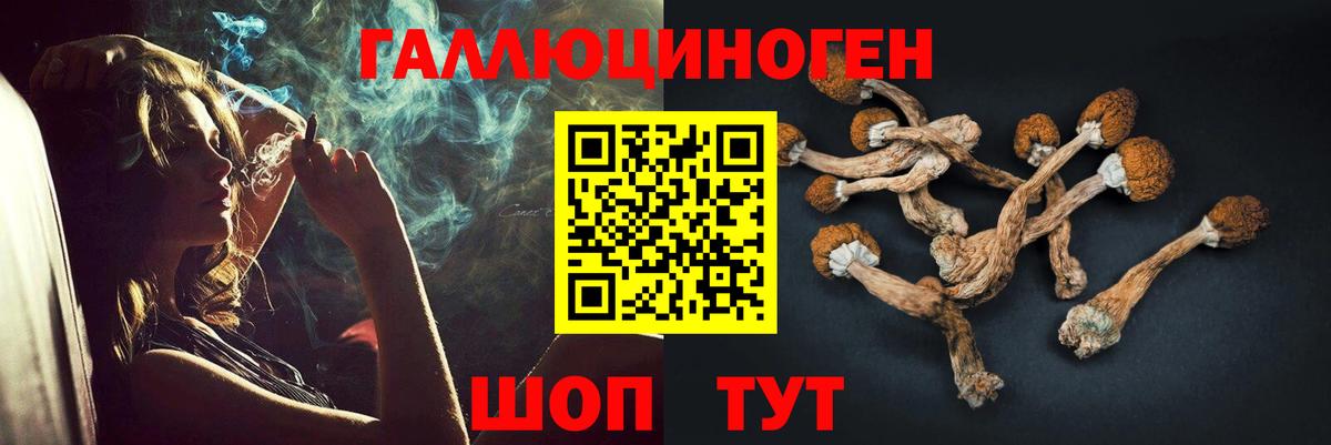 Галлюциногенные грибы мицелий  Вход с VPN  Миллерово 
